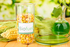 Stock Green biofuel availability